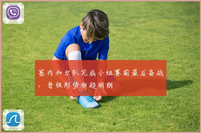 塞内加尔队完成小组赛前最后备战，晋级形势渐趋明朗