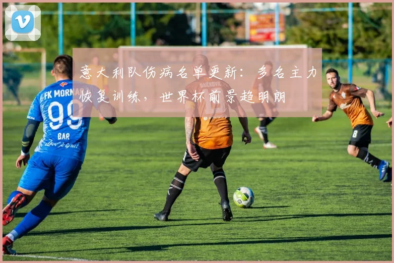 意大利队伤病名单更新：多名主力恢复训练，世界杯前景趋明朗