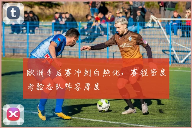 欧洲季后赛冲刺白热化，赛程密度考验各队阵容厚度