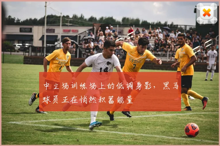 中立场训练场上的低调身影，黑马球员正在悄然积蓄能量