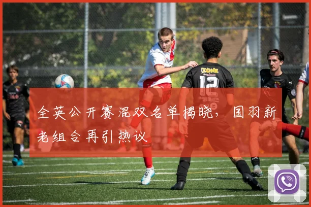 全英公开赛混双名单揭晓，国羽新老组合再引热议